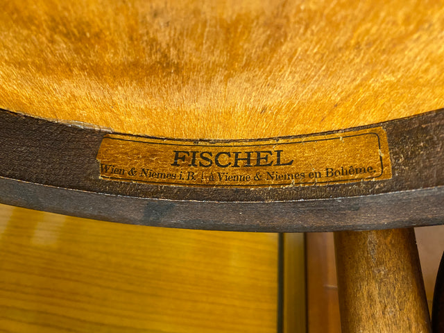 Wunderbarer antiker Bugholzstuhl von Fischel , früher Thonet ,  für Wien & Niemes Böhmen mit geprägten Ornamenten